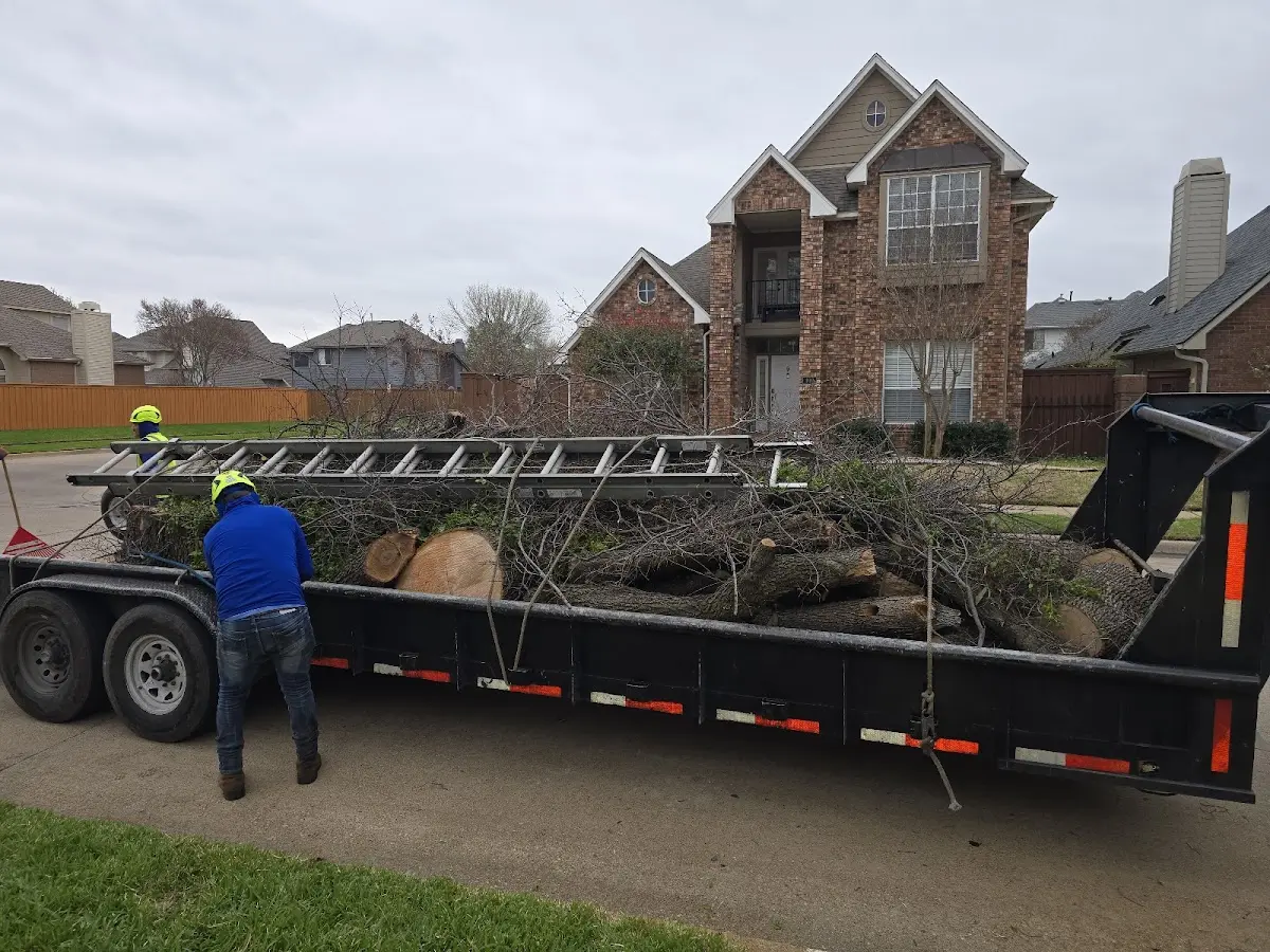 Expert Tree Fertilization with proper safety equipment in Manning